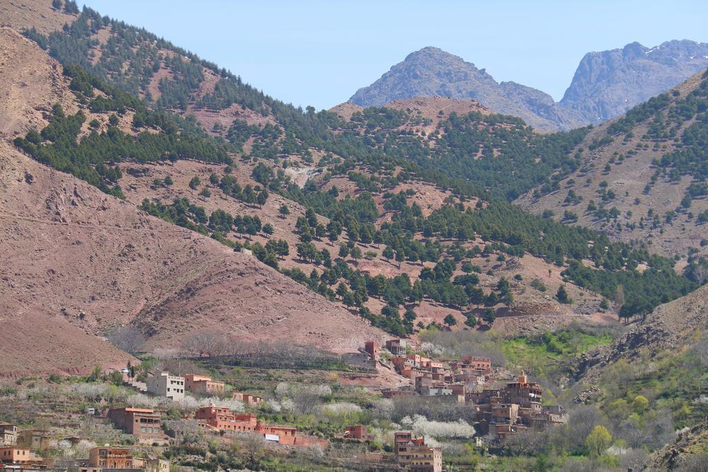 Tamatert Guest House Imlil  Exterior foto